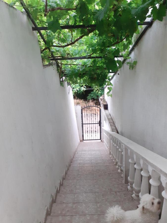 Guest House Cvoro 헤르섹 객실 사진