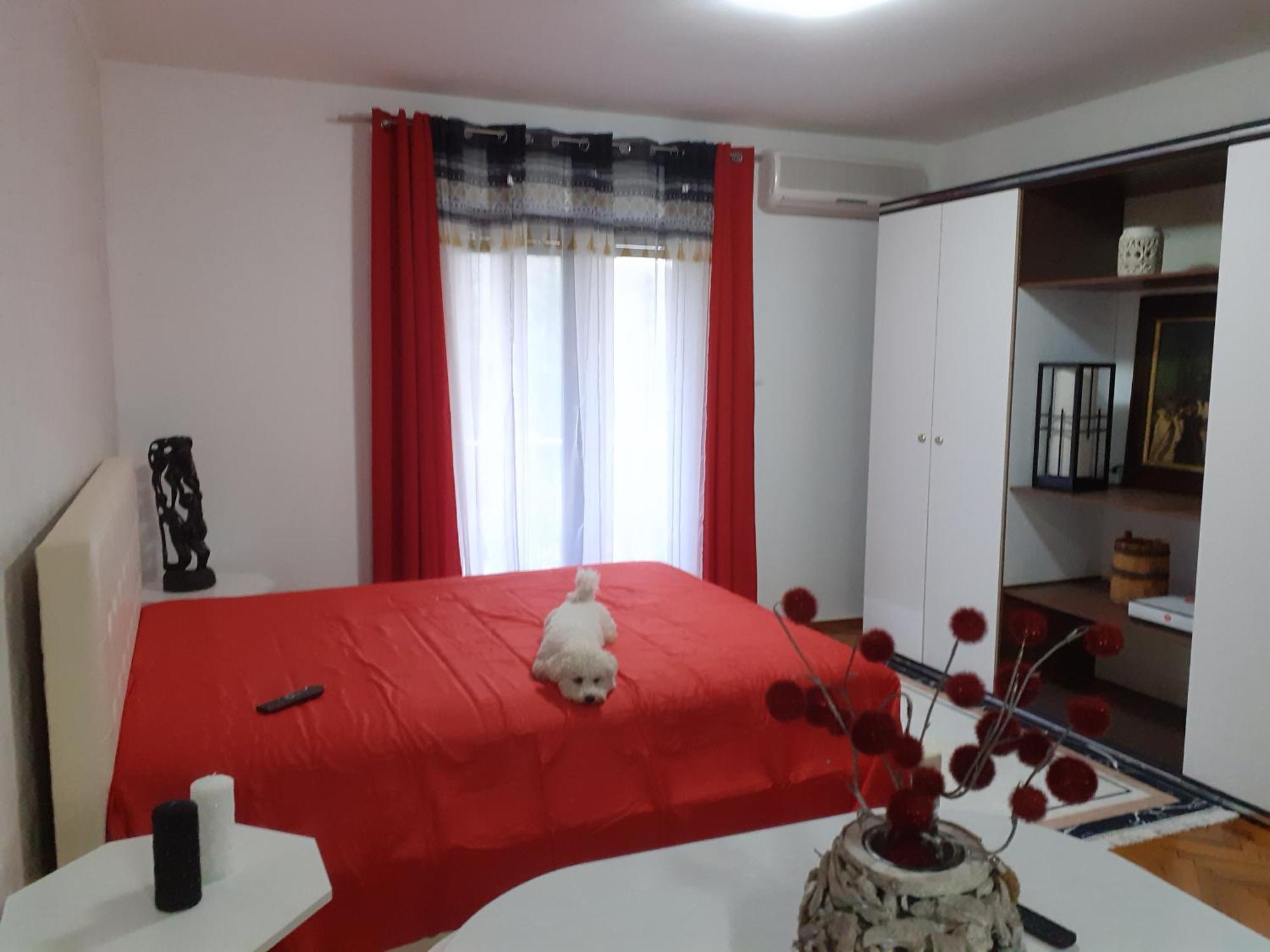 Guest House Cvoro 헤르섹 객실 사진