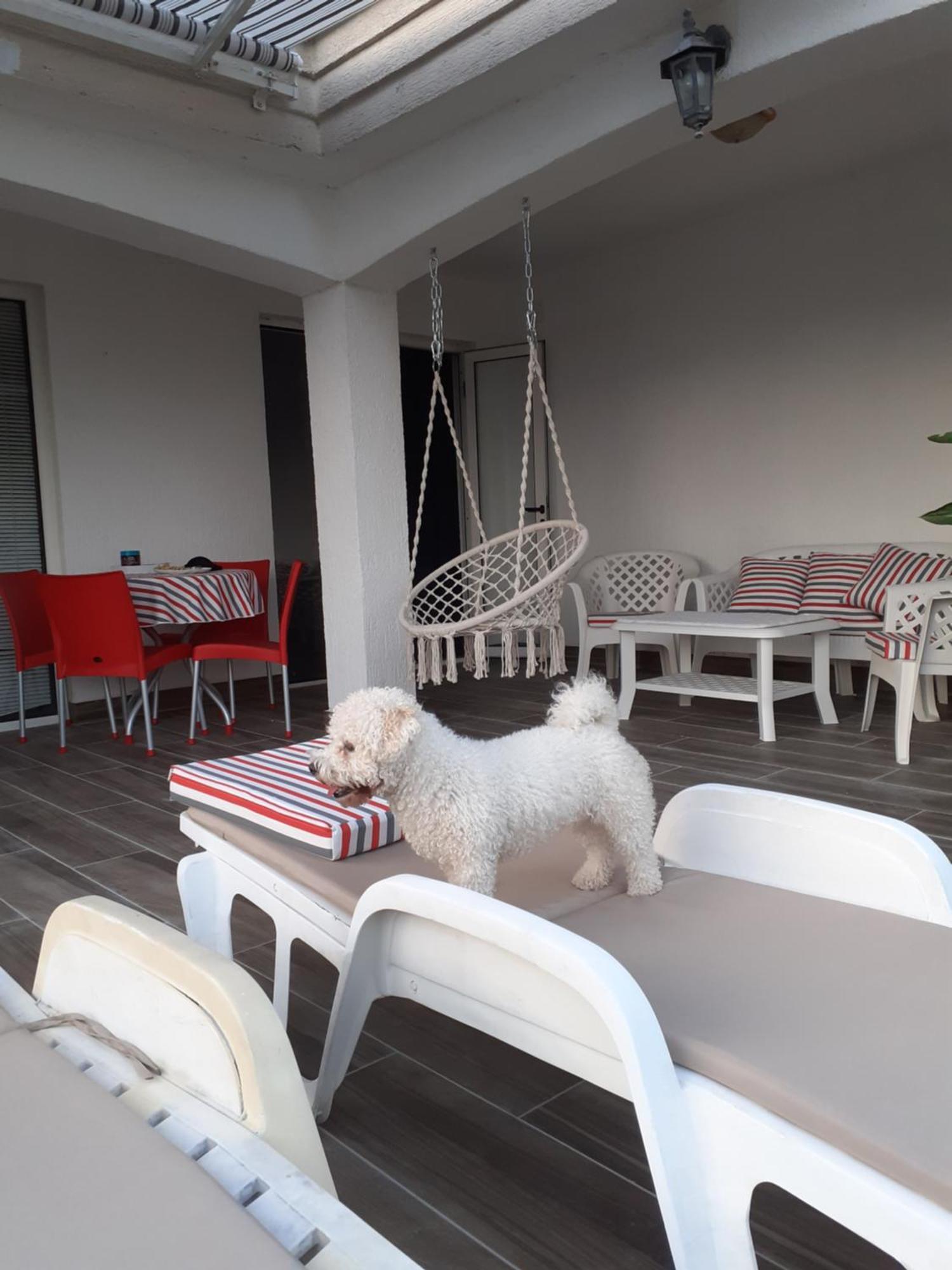 Guest House Cvoro 헤르섹 객실 사진