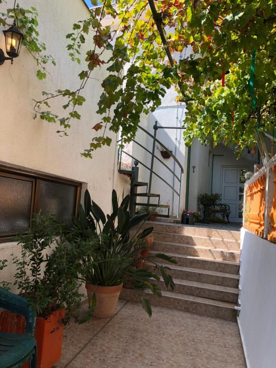 Guest House Cvoro 헤르섹 외부 사진